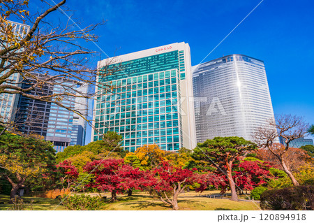 東京の安らぎ空間、紅葉が美しい浜離宮恩賜庭園 120894918