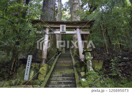 熊野古道　中辺路　継桜王子と野中の一方杉　和歌山県田辺市 120895073