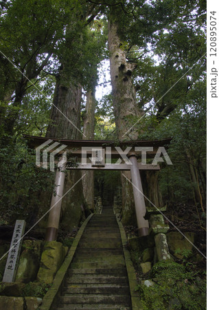 熊野古道 中辺路 継桜王子と野中の一方杉 和歌山県田辺市 熊野古道 中辺路 継桜王子と野中の一方杉 和歌山県田辺市 120895074