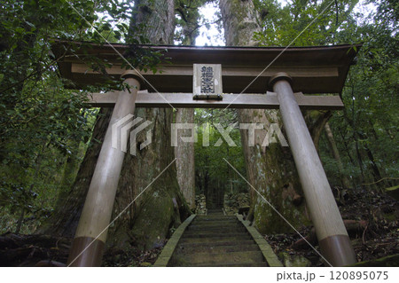 熊野古道　中辺路　継桜王子と野中の一方杉　和歌山県田辺市 120895075