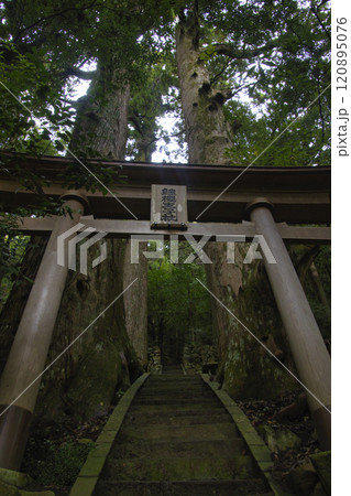 熊野古道 中辺路 継桜王子と野中の一方杉 和歌山県田辺市 熊野古道 中辺路 継桜王子と野中の一方杉 和歌山県田辺市 120895076