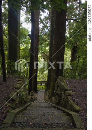 熊野古道　中辺路　継桜王子と野中の一方杉　和歌山県田辺市 120895079