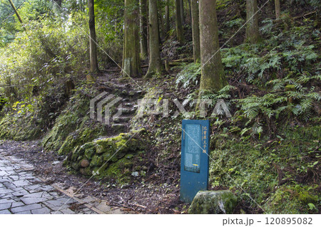 熊野古道 中辺路 比曽原王子 和歌山県田辺市 熊野古道 中辺路 比曽原王子 和歌山県田辺市 120895082