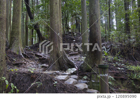 熊野古道　中辺路　宝篋印塔　和歌山県田辺市 120895090