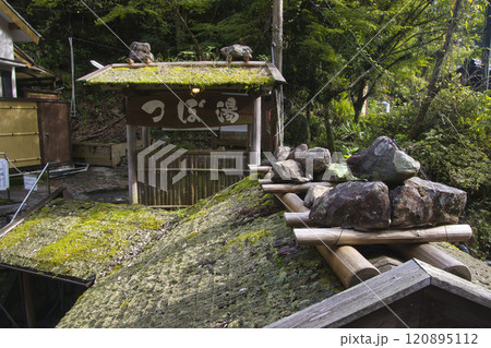 湯の峰温泉　つぼ湯　和歌山県田辺市 120895112