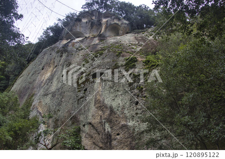花の窟神社　大綱　三重県熊野市 120895122