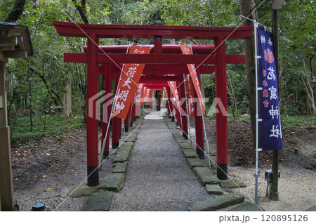 花の窟神社　三重県熊野市 120895126