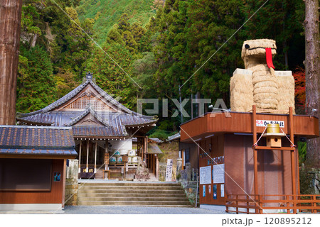安志加茂神社 安志加茂神社 120895212