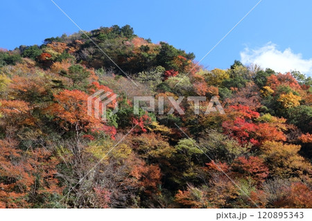 大荒の滝 第二駐車場から紅葉を眺める (高知県 香美市) 大荒の滝 第二駐車場から紅葉を眺める (高知県 香美市) 120895343