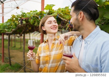 Happy vineyard - grape yard farmers tasting a wine or grape juice together while standing in the vineyard. Lovely couple taste a wine - grape juice in the vineyard. Happy vineyard - grape yard farmers tasting a wine or grape juice together while standing in the vineyard. Lovely couple taste a wine - grape juice in the vineyard. 120895502