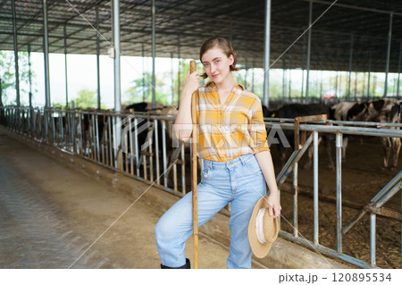 Happy cheerful caucasian white female farmer making arms crossed and smiling to camera while standing in cow dairy farm. Female vet or veterinarian inspecting a livestock cows in farm. Happy cheerful caucasian white female farmer making arms crossed and smiling to camera while standing in cow dairy farm. Female vet or veterinarian inspecting a livestock cows in farm. 120895534