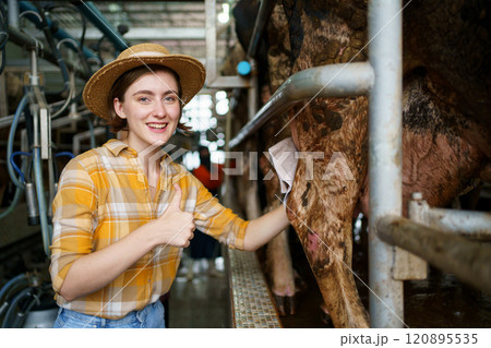 Happy cheerful caucasian white female farmer making arms crossed and smiling to camera while standing in cow dairy farm. Female vet or veterinarian inspecting a livestock cows in farm. Happy cheerful caucasian white female farmer making arms crossed and smiling to camera while standing in cow dairy farm. Female vet or veterinarian inspecting a livestock cows in farm. 120895535