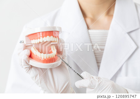 医師の歯石取り指導09 医師の歯石取り指導09 120895747