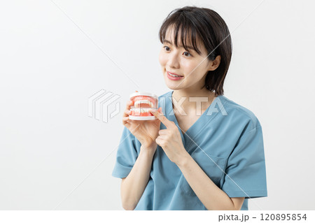顎模型を使い説明する歯科医師イメージ03 120895854