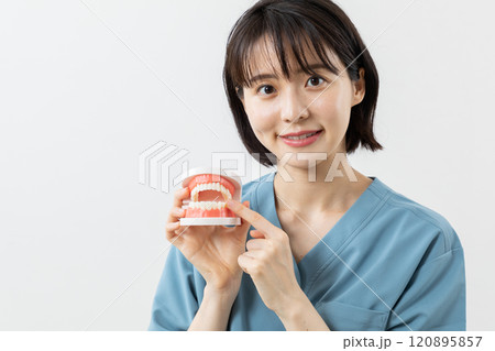 顎模型を使い説明する歯科医師イメージ07 顎模型を使い説明する歯科医師イメージ07 120895857