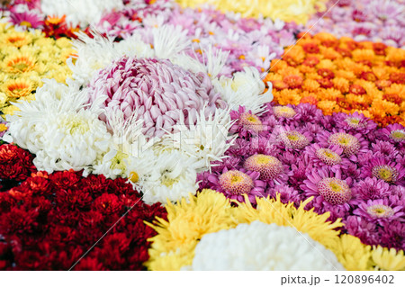 茨城家笠間市　笠間稲荷神社　手水舎の花手水 120896402