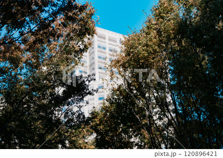 自然に囲まれた都市の緑と建築 120896421