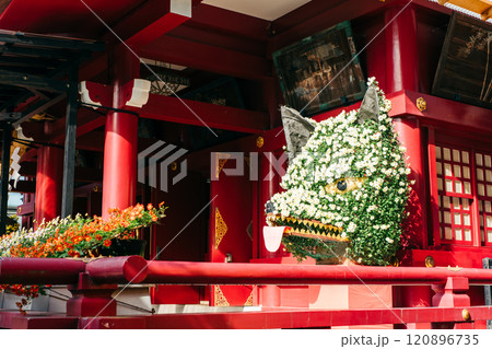 茨城家笠間市 笠間稲荷神社 菊まつり 茨城家笠間市 笠間稲荷神社 菊まつり 120896735