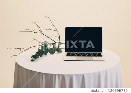 Laptop alongside coral-shaped sculpture and floating smartphone, combining dynamic composition and negative space for innovative branding. 120896783