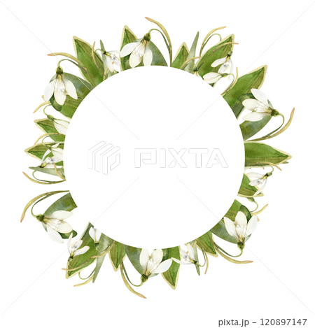 Spring first flowers frame with white snowdrops and green leaves watercolor illustration. Hand drawn floral wreath with petal botanical elements for wedding card,invitation,mothers's day poster design 120897147