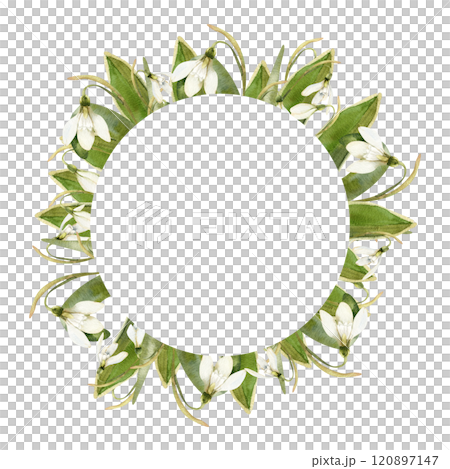 Spring first flowers frame with white snowdrops and green leaves watercolor illustration. Hand drawn floral wreath with petal botanical elements for wedding card,invitation,mothers's day poster design 120897147