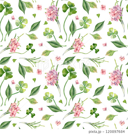 Realistic flowers and leaves watercolor seamless pattern isolated. Clover and pink hydrangea on repeated background hand drawn. Wildflowers and herb, shamrock painted in botanical art. Design textile 120897684