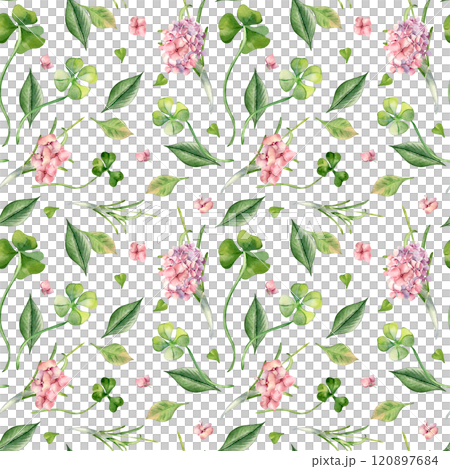 Realistic flowers and leaves watercolor seamless pattern isolated. Clover and pink hydrangea on repeated background hand drawn. Wildflowers and herb, shamrock painted in botanical art. Design textile 120897684