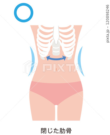閉じた肋骨　くびれ 120898246