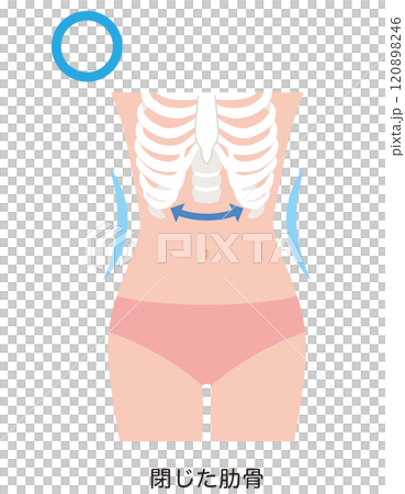 閉じた肋骨　くびれ 120898246