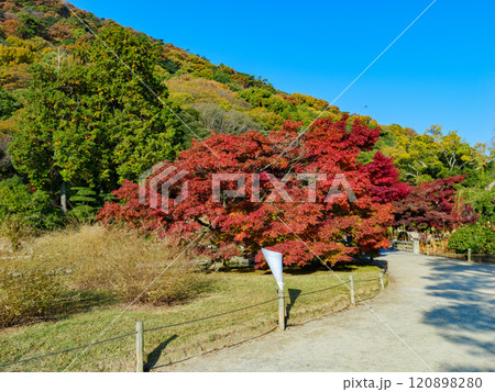 紅葉が綺麗な秋の栗林公園　香川県の観光地 120898280