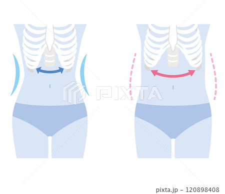 開いた肋骨　閉じた肋骨 120898408