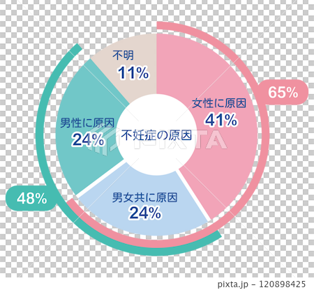 不妊症の原因　割合　グラフ 120898425