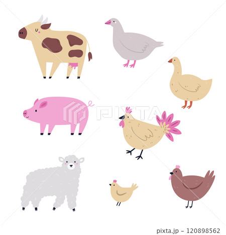 Charming Hand-Drawn Illustration of Farm Animals. Cow, Pig, Sheep, Hen and Goose Charming Hand-Drawn Illustration of Farm Animals. Cow, Pig, Sheep, Hen and Goose 120898562