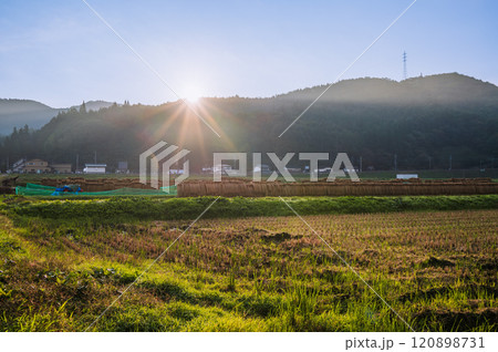 日の出と稲架掛けされた水田【木崎湖畔】 日の出と稲架掛けされた水田【木崎湖畔】 120898731