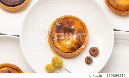 美味しいタルト 120899311