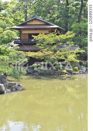 京都御苑の拾翠亭 120899355