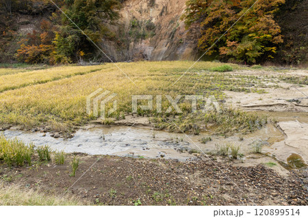 土砂が流入した水田 土砂が流入した水田 120899514
