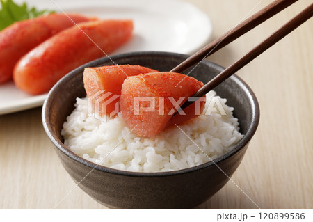 ご飯に乗った美味しそうな辛子明太子 ご飯に乗った美味しそうな辛子明太子 120899586