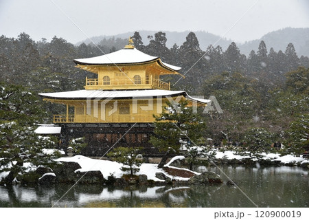 京都 金閣寺の雪景色 京都 金閣寺の雪景色 120900019