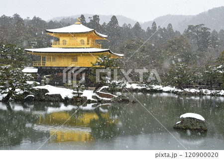 京都 金閣寺の雪景色 京都 金閣寺の雪景色 120900020
