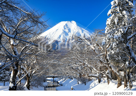 雪景色の忍野村（忍野八海） 120900129