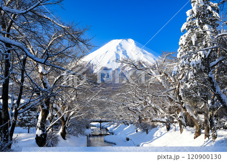 雪景色の忍野村（忍野八海） 120900130