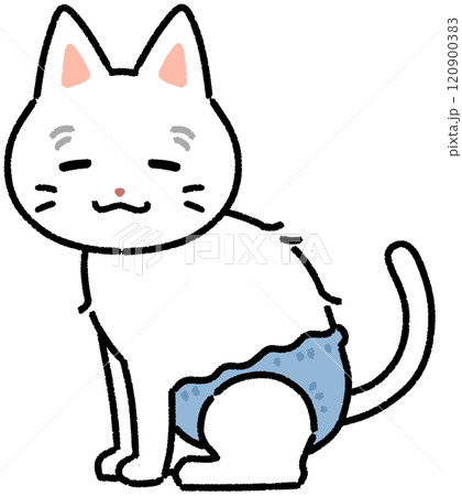 おむつをつけている高齢猫 おむつをつけている高齢猫 120900383