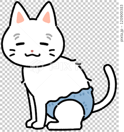 おむつをつけている高齢猫 おむつをつけている高齢猫 120900383