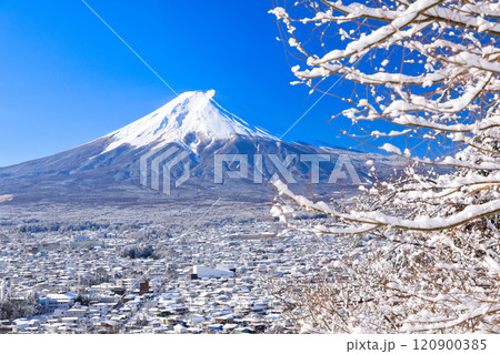 新倉山浅間公園から望む雪化粧の富士吉田市街地と富士山の風景 120900385