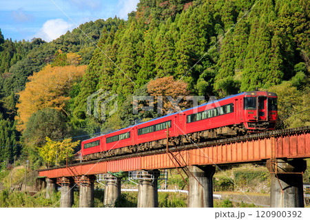 紅葉と第五玖珠川橋梁を渡る特急「ゆふ」（JR九州　キハ185系） 120900392