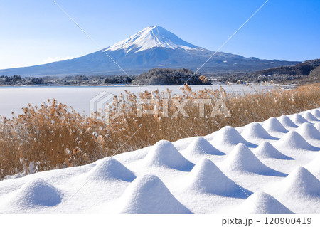 冬 雪のラベンダー畑と富士山の風景 河口湖大石公園 冬 雪のラベンダー畑と富士山の風景 河口湖大石公園 120900419