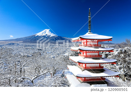 冬 雪化粧した新倉山浅間神社忠霊塔と富士山の絶景 山梨県富士吉田市 冬 雪化粧した新倉山浅間神社忠霊塔と富士山の絶景 山梨県富士吉田市 120900501