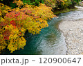 野迫川の紅葉と渓谷 120900647