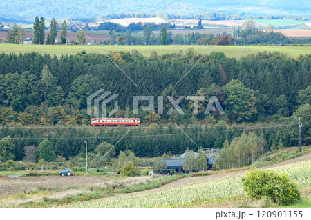 美瑛の丘陵地帯を行く富良野線団体臨時列車　キハ40 120901155